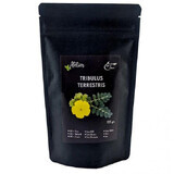 Tribulus terrestris Pulver, 125g, Sanoviva Farma