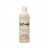 Shampooing à l'huile d'argan pour cheveux très secs et traités (1.4) x 250ml, Noah