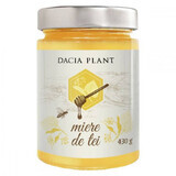 Miel de tilleul, 430 gr, plante Dacia