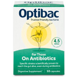 Probiotique, 10 gélules, Optibac