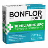 Bonflor Forte, 10 gélules, Fiterman Pharma