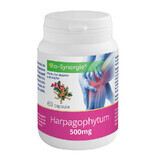 Harpagophytum, 500 mg, 60 gélules, Bio-Synergie