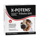 X-Potens, 60 gélules, Finclub