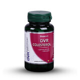 DVR Cholestérol, 60 cps, Dvr Pharm