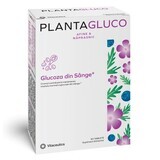 Plantagluco, 60 comprimés, Vitaceutics