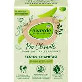Alverde Naturkosmetik Pro Climate shampooing solide vert pomme, 60 g