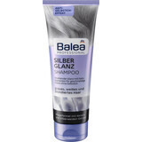 Balea Professional Shampooing pour cheveux gris, 250 ml