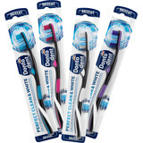 Dontodent Perfect Clean & White spazzolino da denti, 1 pz