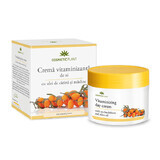 Vitaminisierende Tagescreme mit Catina und Olivenöl, 50 ml, Cosmetic Plant