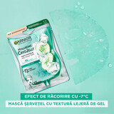Garnier Skin Naturals Masque Hydratant à la Cryogel, 27 g, 27 g
