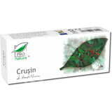 Cruisin, 30 gélules, Pro Natura