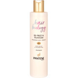 Hair Biology Şampon De-frizz & Illuminate, 250 ml