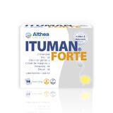 Ituman Forte, 14 Portionsbeutel, Althea Life Science