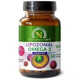 Lipozomal Vegan Omega 3, 60 capsules, Hypernatura