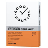 Synergize Your Gut Good Routine, 10 gélules végétales, Secom