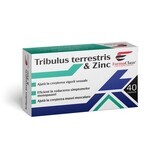Tribulus Terrestris Zinc, 40 gélules, FarmaClass