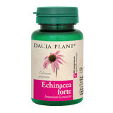Echinacea forte, 60 comprimés, Dacia Plant