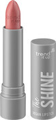 Trend !t up The Shine Rossetto n. 290, 3,8 g
