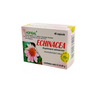 Echinacea, 40 capsules, Hofigal