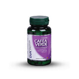 Café vert, 60 gélules, DVR Pharm