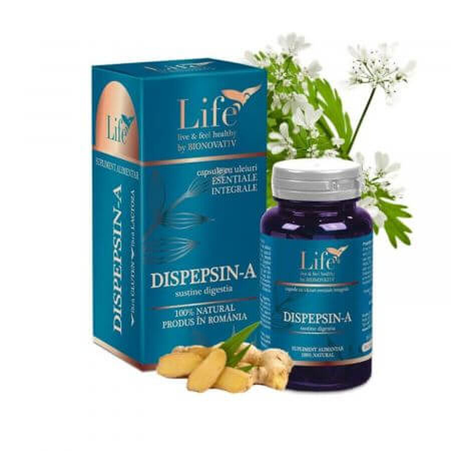 Dispepsin - A capsules with essential oils, 30 capsules, Bionovativ