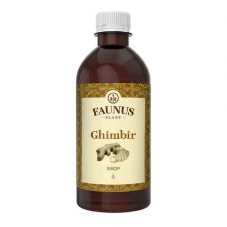 Ginger syrup, 500 ml, Faunus