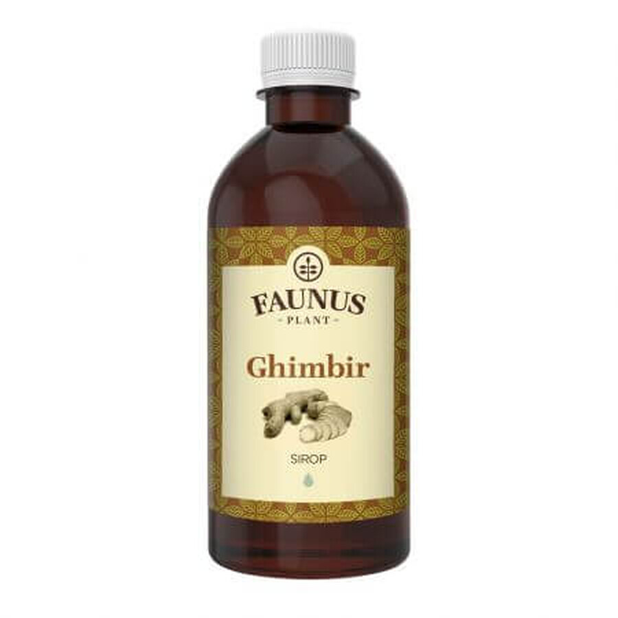 Ginger syrup, 500 ml, Faunus