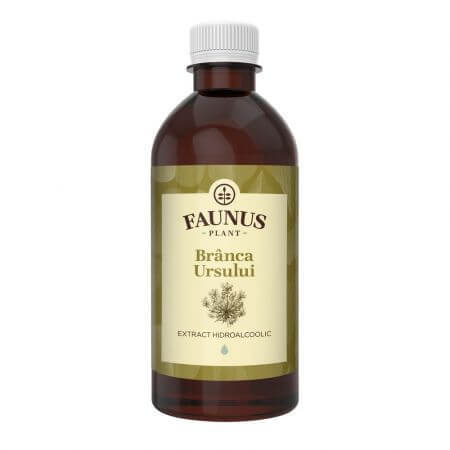 Branca Ursului tincture, 500 ml, Faunus