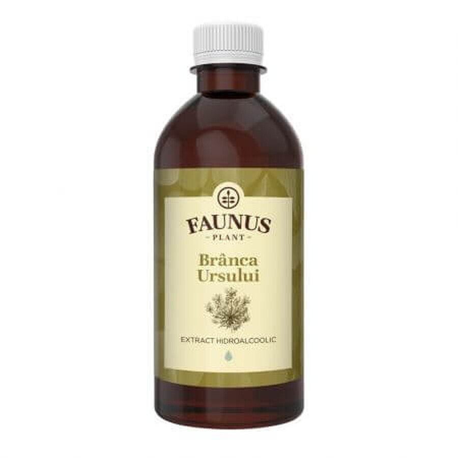 Branca Ursului tincture, 500 ml, Faunus