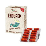 Engypep, 30 gélules, Bio Vitality