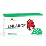 Enlarge, 30 gélules, Sun Wave Pharma