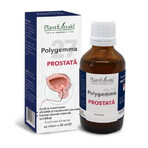 Polygemma 27 Prostata, 50ml, Pflanzenextrakt