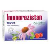 Immunorezistan Immunité, 30 gélules, Plant Extrakt