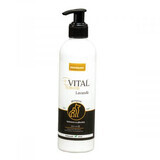 Premium-Vital Shampooing à la lavande, 250 ml, Promedivet