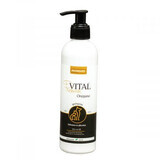 Premium-Vital Shampooing à l'origan, 250 ml, Promedivet