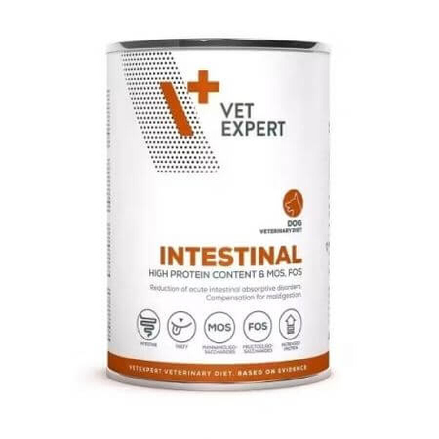 Croquettes Intestinal Dog, 400 g, Vetexpert