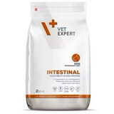 Dry food for dogs Intestinal, 2 Kg, VetExpert