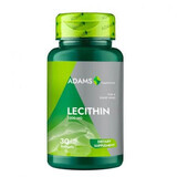 Lecithin, 1200mg, 30 Kapseln, Adams Vision