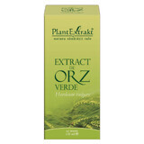 Extrait d'orge vert, 120 ml, Plant Extrakt