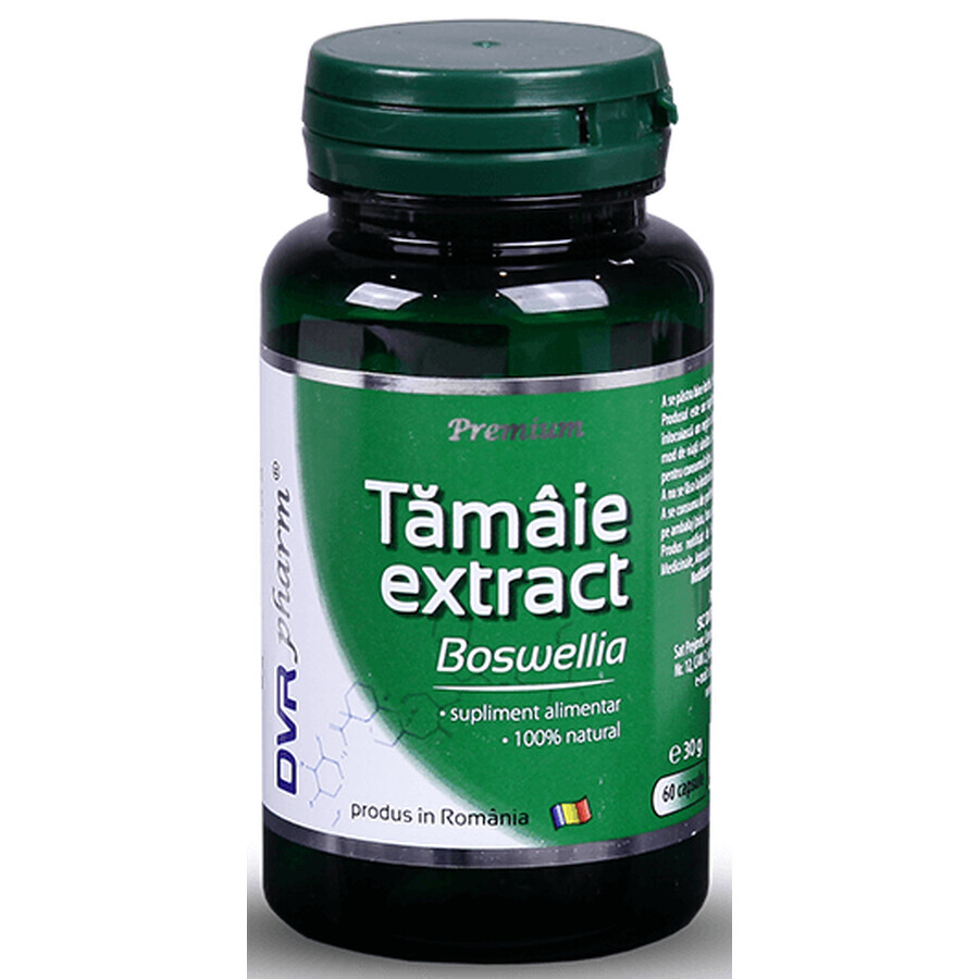 Extract de tămâie (Boswellia), 60 capsule, Dvr Pharm