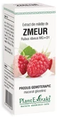 Extract din mlădițe de Zmeur, 50 ml, Plant Extrakt