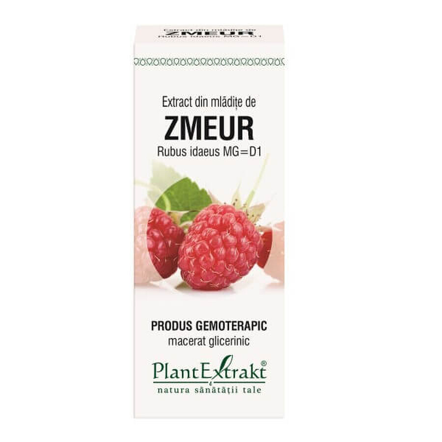 Zmeur bud extract, 50 ml, Plant Extrakt