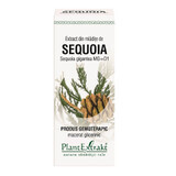 Extrait de bourgeon de séquoia, 50 ml, Plant Extrakt