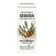 Extrait de bourgeon de s&#233;quoia, 50 ml, Plant Extrakt