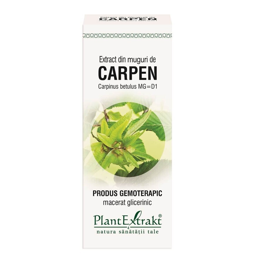 Extract din muguri de Carpen, 50 ml, Plant Extrakt