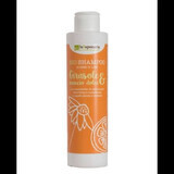 Shampoo biologico per capelli tinti e danneggiati, 200 ml, La Saponaria