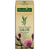 Extrait de bourgeon de saule, 50 ml, Plant Extrakt