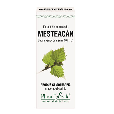 Mesteacan-Samenextrakt, 50 ml, Pflanzenextrakt