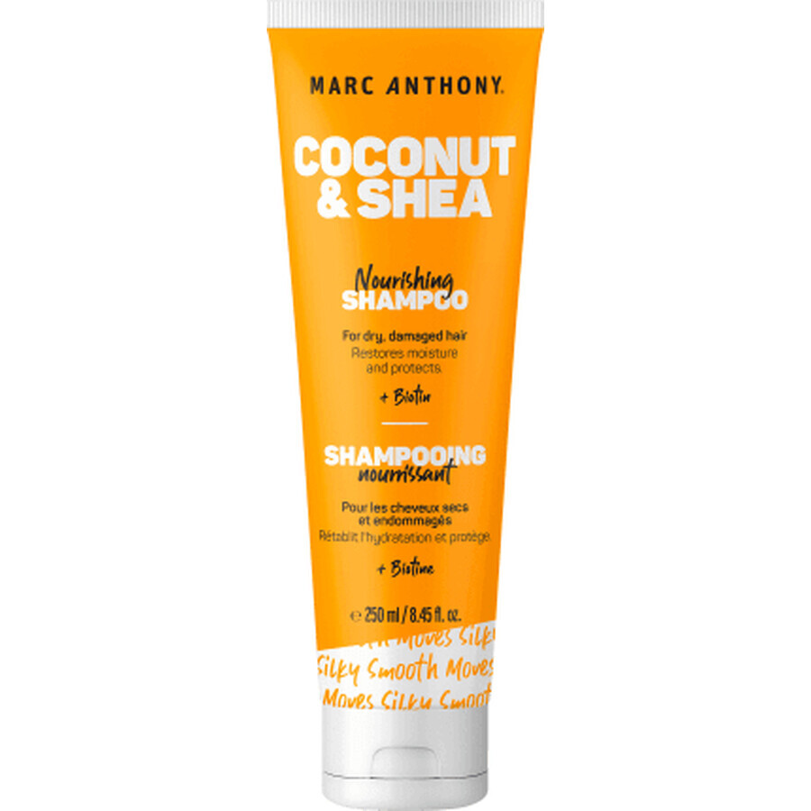 Marc Anthony Shampoing réparateur Noix de Coco &amp; Karité, 250 ml