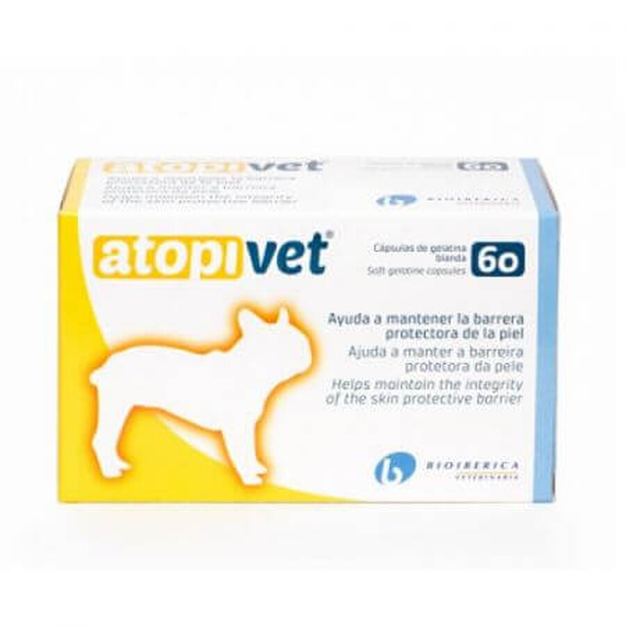 Adjuvant in restoring and maintaining the epidermal barrier in dogs Atopivet, 60 capsules, Bioiberica